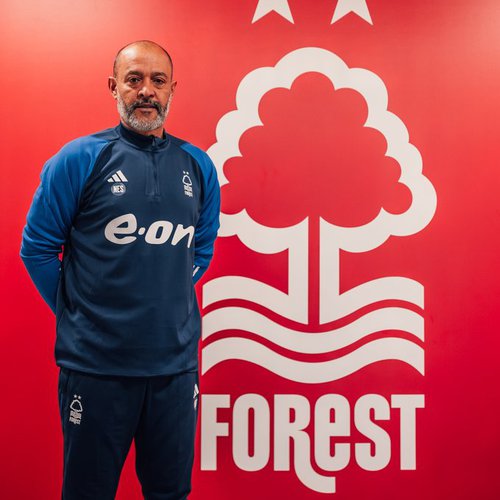 ESPIRITO SANTO FORREST.jpg
